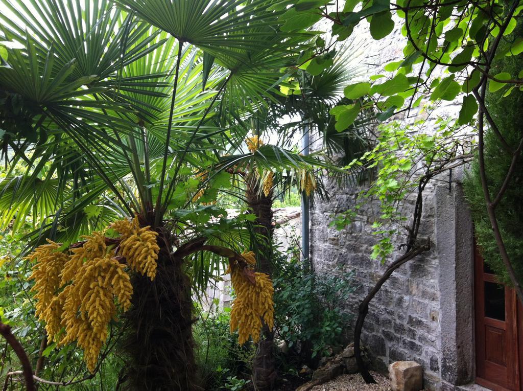 Summerhouse Beram بازين المظهر الخارجي الصورة